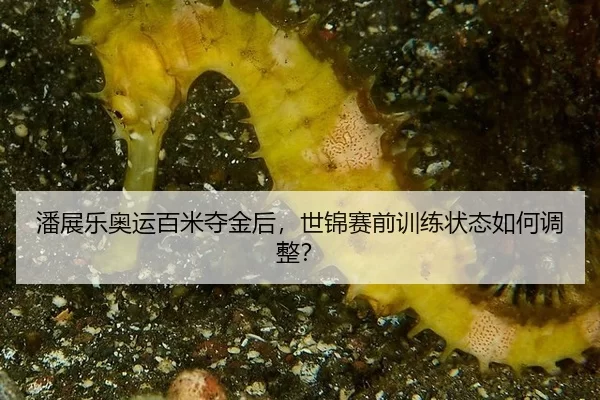 pan-zhan-le-ao-yun-bai-mi-duo-jin-hou-shi-jin-sai-qian-xun-lian-zhuang-tai-ru-he-tiao-zheng-3-830.jpg