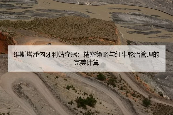 维斯塔潘匈牙利站夺冠：精密策略与红牛轮胎管理的完美计算