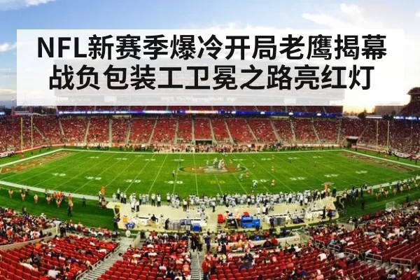 NFL stadium crowd