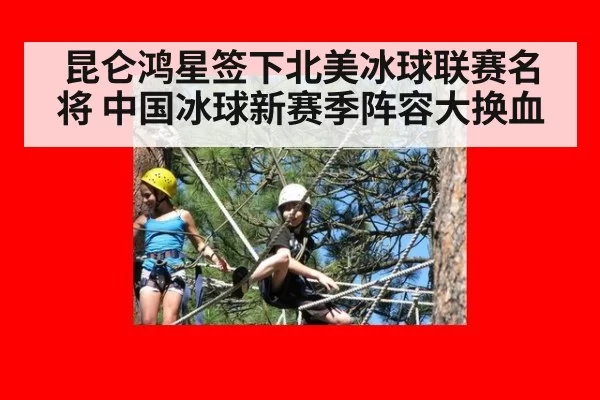 昆仑鸿星签下北美冰球联赛名将 中国冰球新赛季阵容大换血